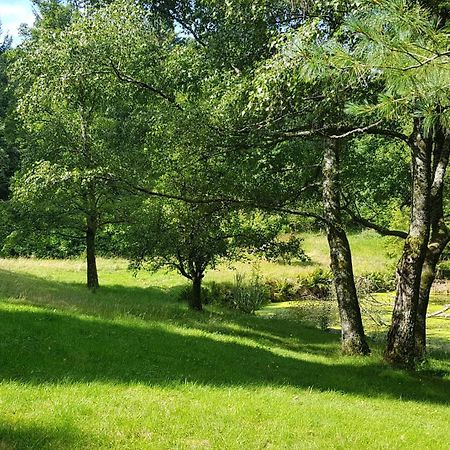 Le Grand Tetras - Col Du Donon Apartman Grandfontaine  Szoba fotó