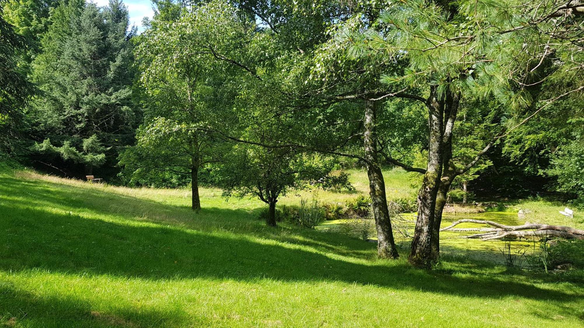Le Grand Tetras - Col Du Donon Apartman Grandfontaine  Szoba fotó